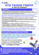 Что такое грипп