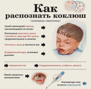 Чем сейчас лечат коклюш: вакцины, антибиотики и поддерживающая терапия