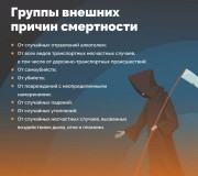 Внешние причины смертности